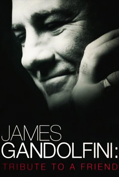 Постер фильма James Gandolfini: Tribute to a Friend