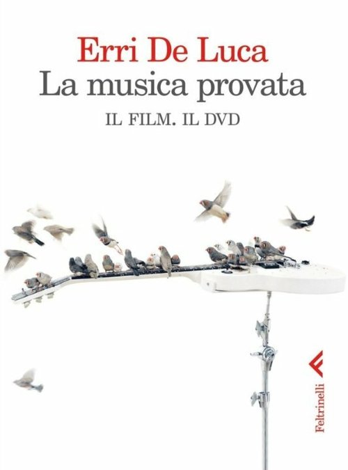 Постер фильма La musica provata