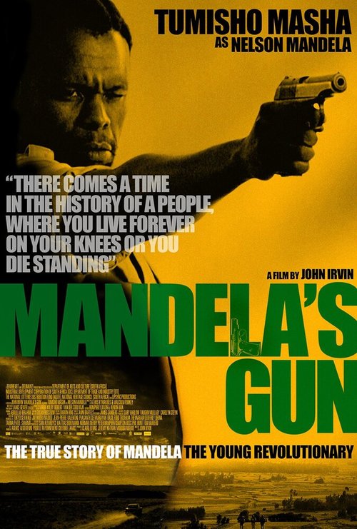 Mandela's Gun скачать