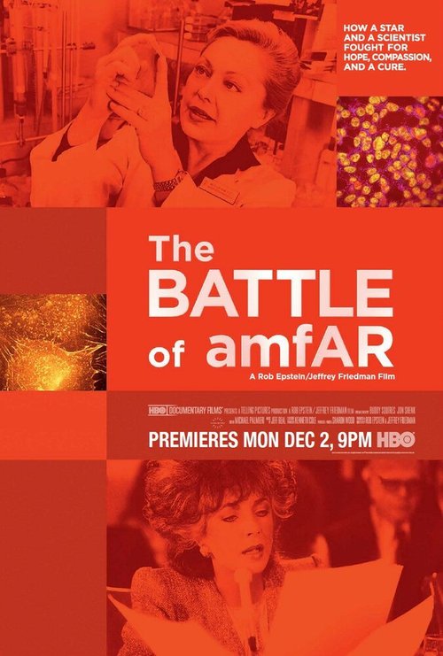 Постер фильма The Battle of Amfar