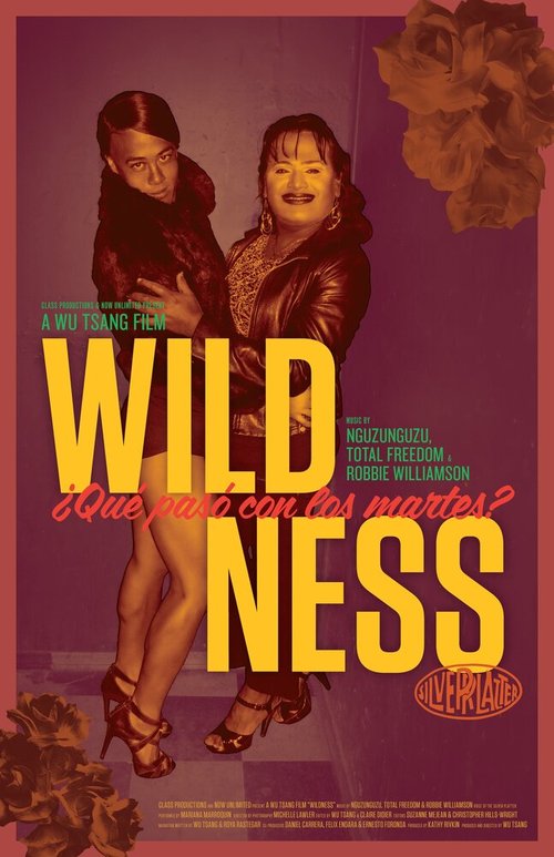 Постер фильма Wildness