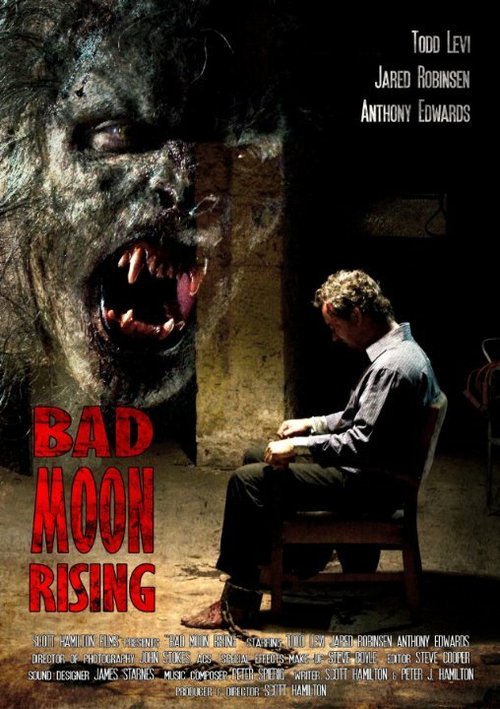 Bad Moon Rising скачать