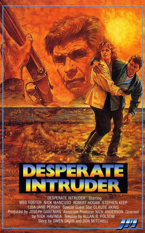 Постер фильма Desperate Intruder