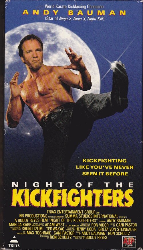 Постер фильма Night of the Kickfighters