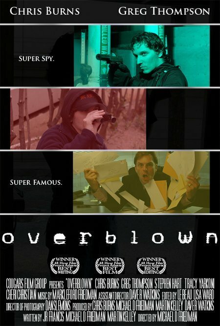 Постер фильма Overblown