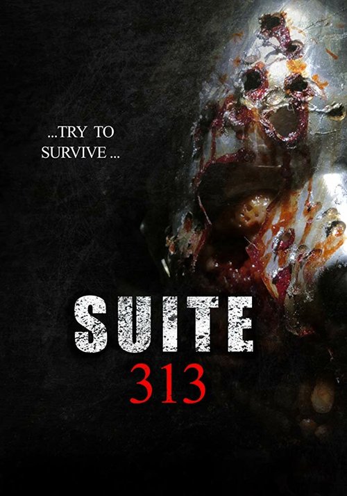 Постер фильма Suite 313