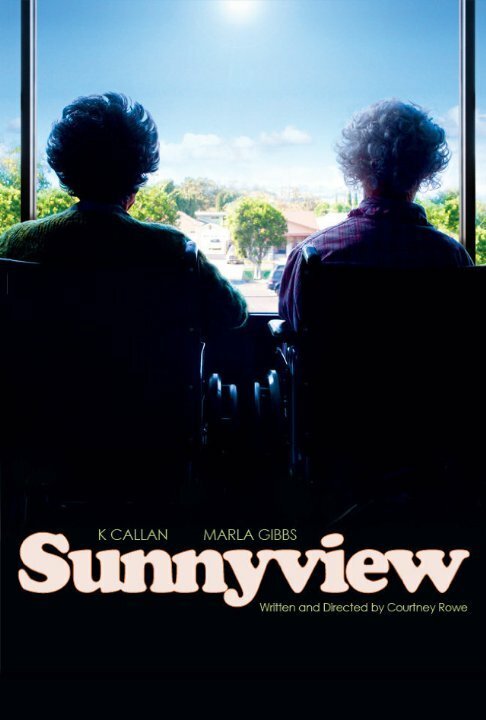 Sunnyview скачать