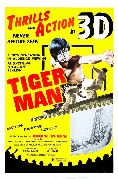 Постер фильма Tiger Man