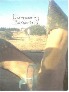 Постер фильма Disappearing Bakersfield