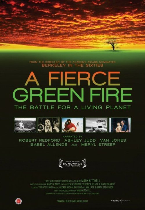 Постер фильма A Fierce Green Fire