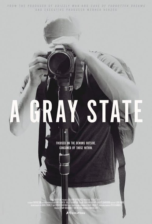 Постер фильма A Gray State