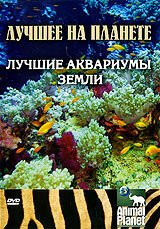 Animal Planet: Лучшие аквариумы земли скачать