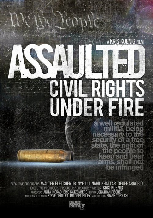 Постер фильма Assaulted: Civil Rights Under Fire