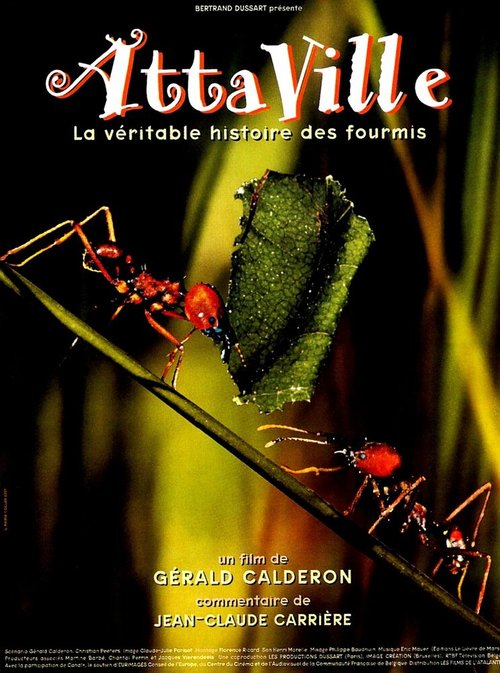 Attaville, la véritable histoire des fourmis скачать