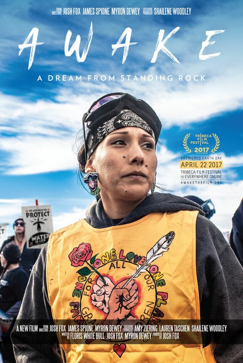 Awake, a Dream from Standing Rock скачать