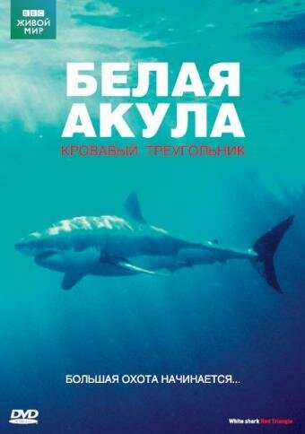 Постер фильма BBC: Белая акула. Кровавый треугольник