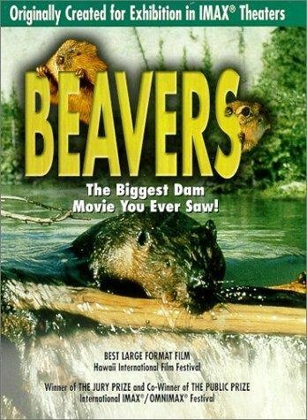 Beavers скачать