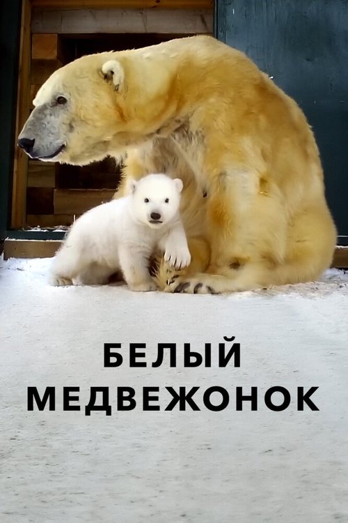 Белый медвежонок скачать