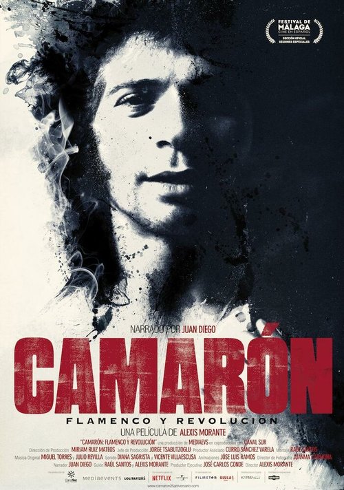 Постер фильма Camarón: Flamenco y revolución