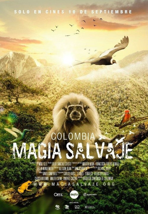 Постер фильма Colombia magia salvaje