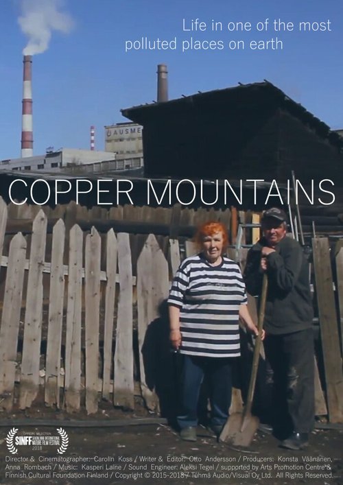 Постер фильма Copper Mountains