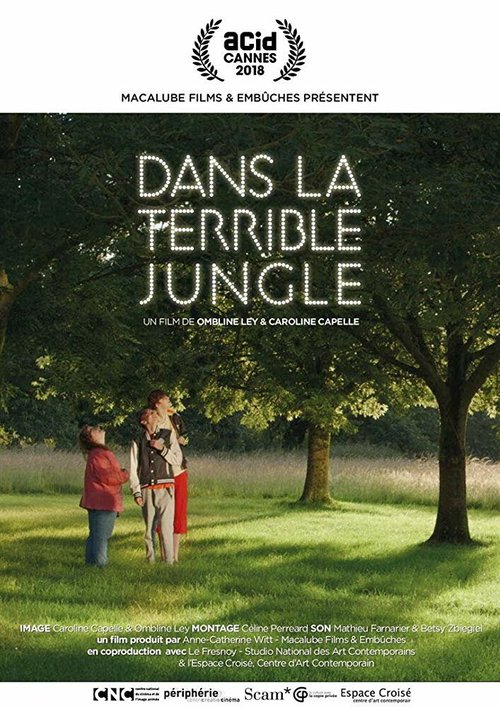 Постер фильма Dans la terrible jungle