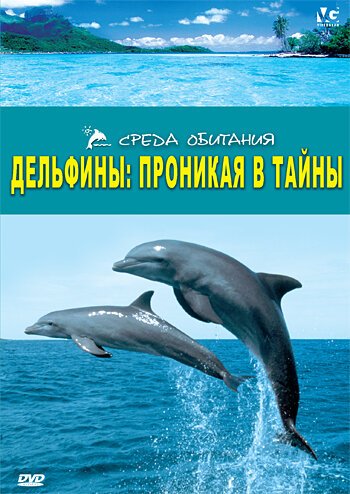 Дельфины: Проникая в тайны скачать