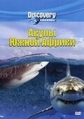 Discovery: Акулы Южной Африки скачать