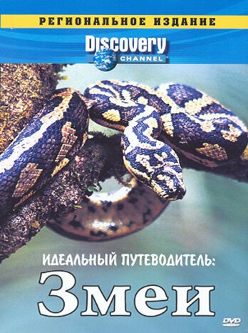 Постер фильма Discovery: Идеальный путеводитель. Змеи