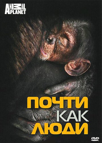 Discovery: Почти как люди скачать