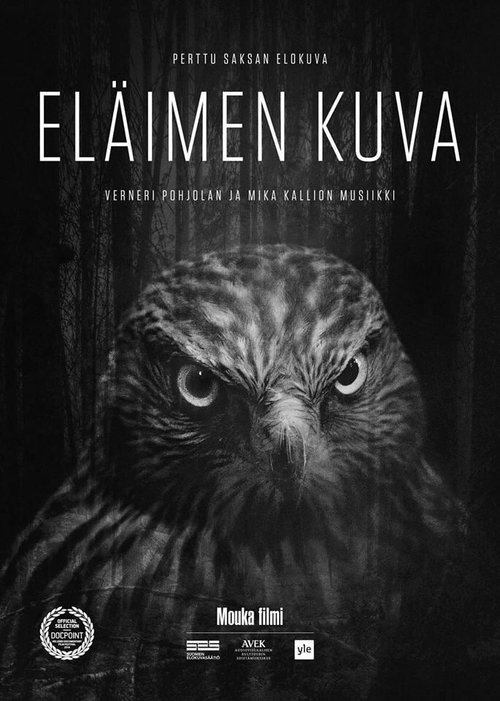 Eläimen kuva скачать