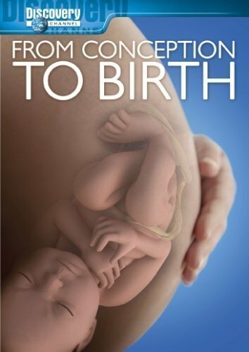 Постер фильма From Conception to Birth