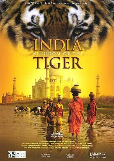 India: Kingdom of the Tiger скачать