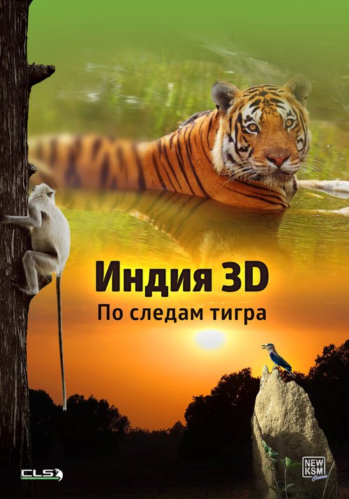 Индия 3D: По следам тигра скачать