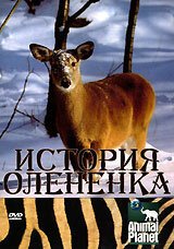 Постер фильма История олененка