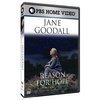 Jane Goodall: Reason for Hope скачать