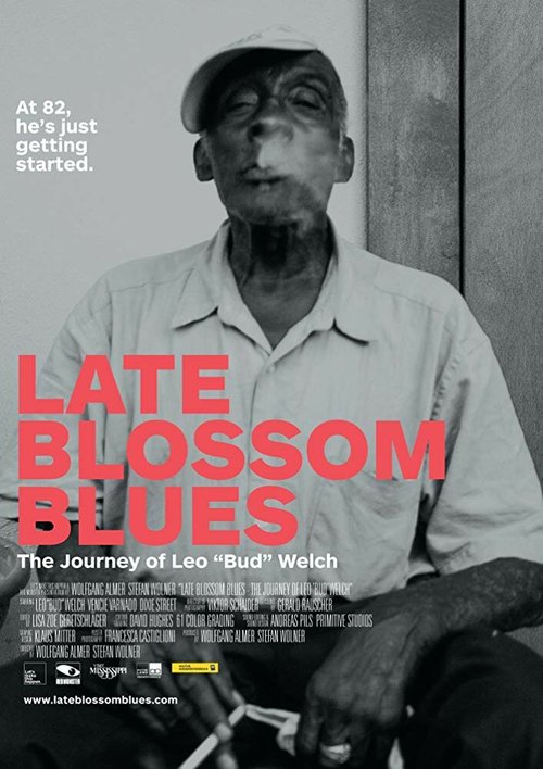 Постер фильма Late Blossom Blues