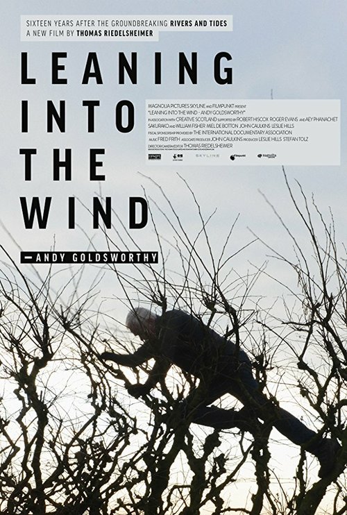 Постер фильма Leaning Into the Wind: Andy Goldsworthy