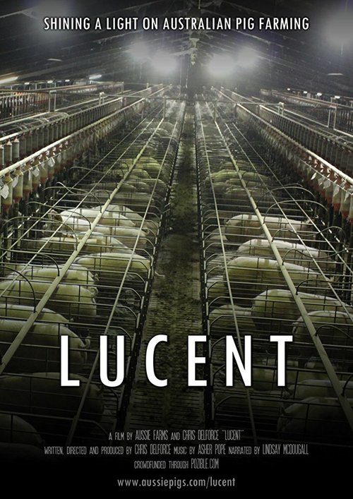 Lucent скачать