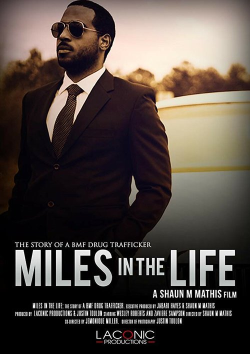 Постер фильма Miles in the Life