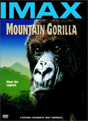 Постер фильма Mountain Gorilla