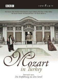 Постер фильма Mozart in Turkey