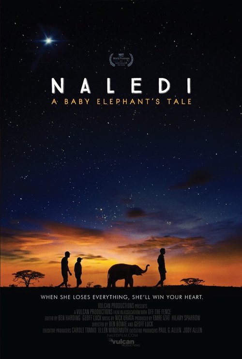 Постер фильма Naledi: A Baby Elephant's Tale