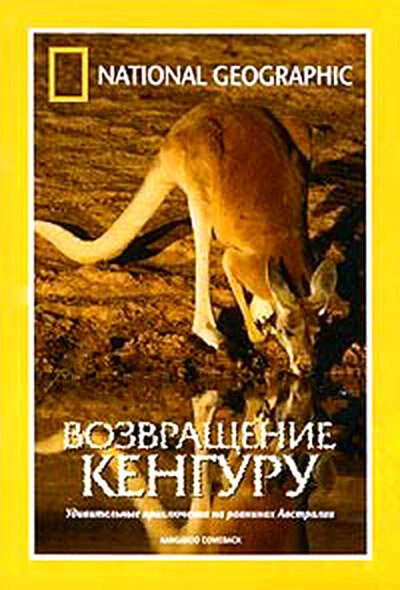 Постер фильма National Geographic: Возвращение кенгуру