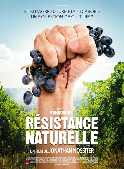 Постер фильма Natural Resistance