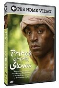 Постер фильма Prince Among Slaves