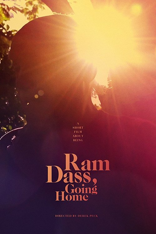 Постер фильма Ram Dass, Going Home