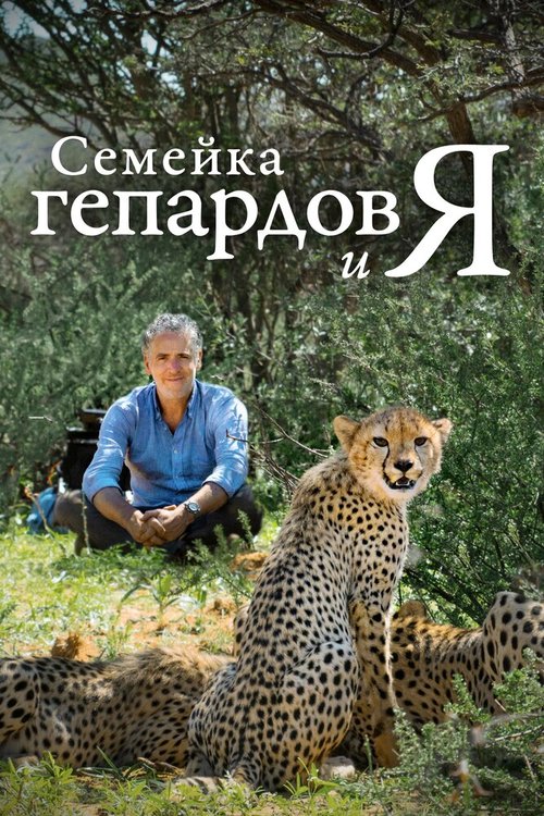 Семейка гепардов и я скачать