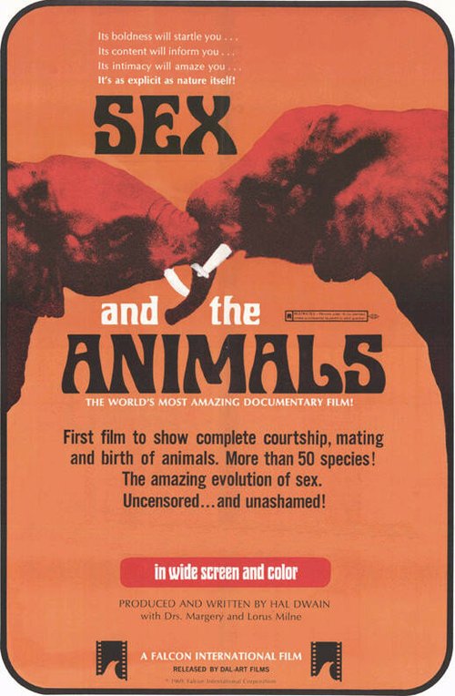 Sex and the Animals скачать