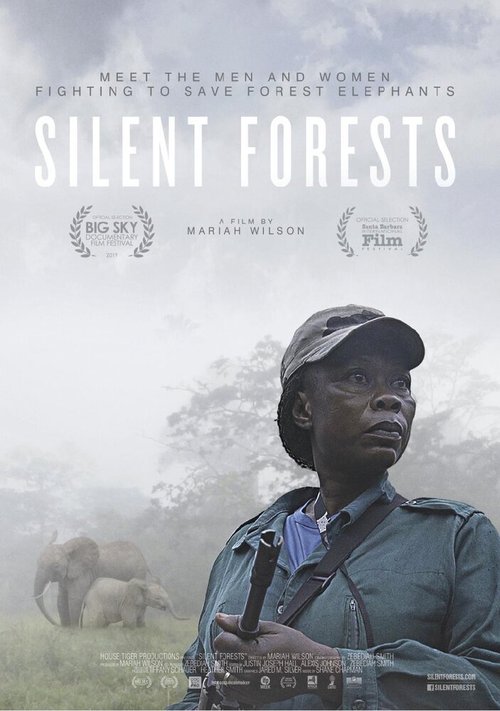 Постер фильма Silent Forests